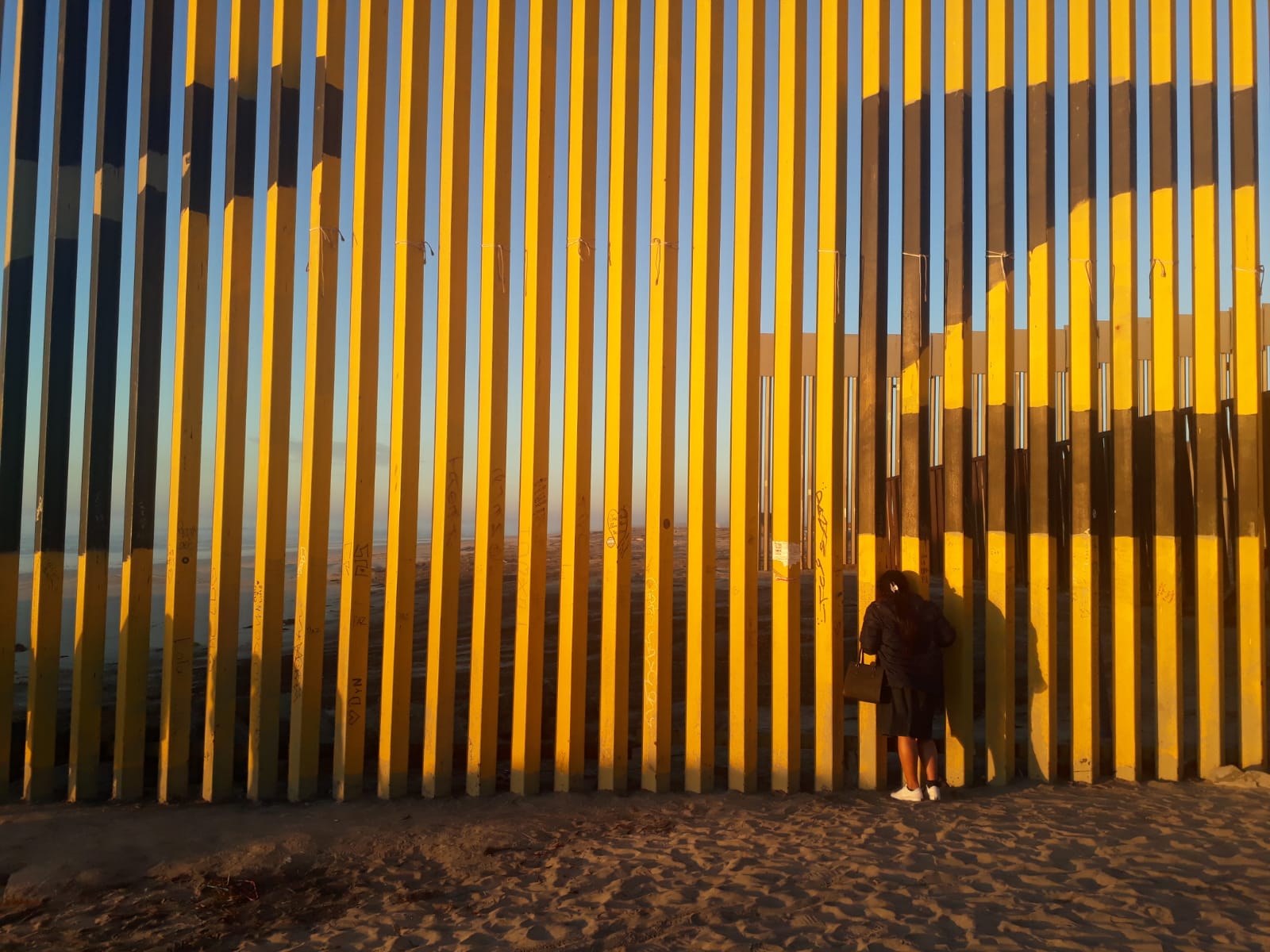 Cercles. Radiographie d’un mur