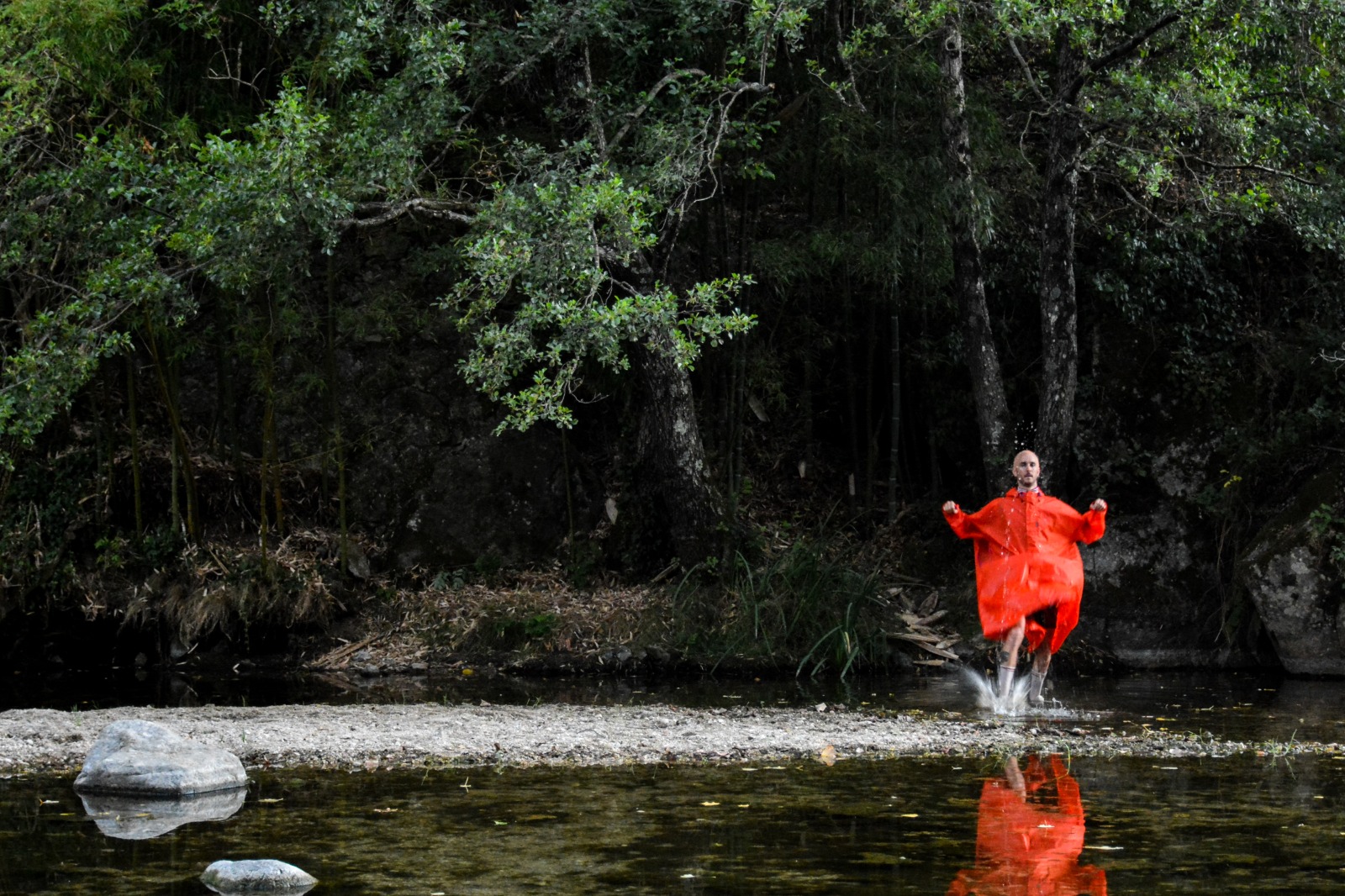 Dans la nuit noire de l'âme il y a toujours un son qui veille