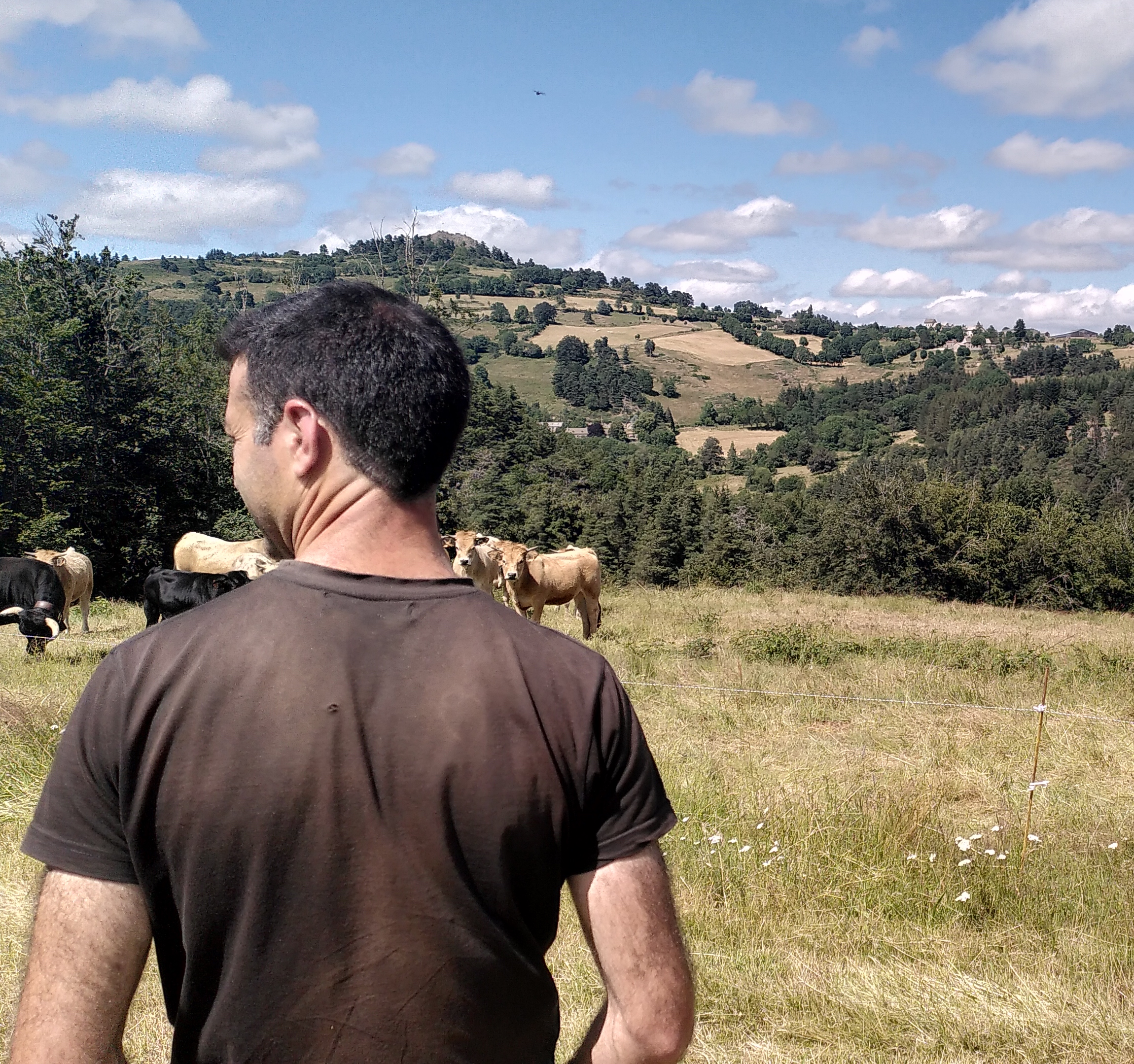 Margeride au fil des ondes, portraits suspendus