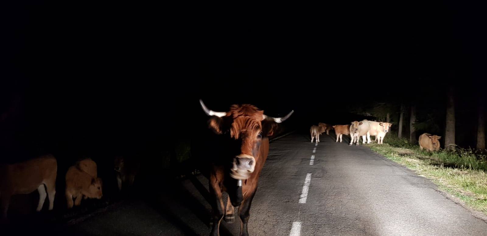 Que la terre nous continue, fragments